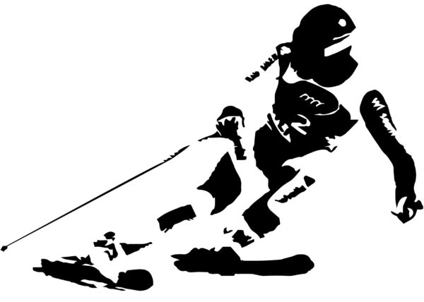 vektorbild ski rennfahrer