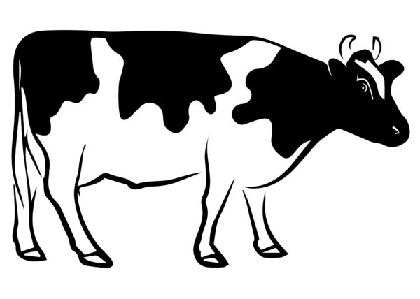 vektorbild einer schweizer kuh